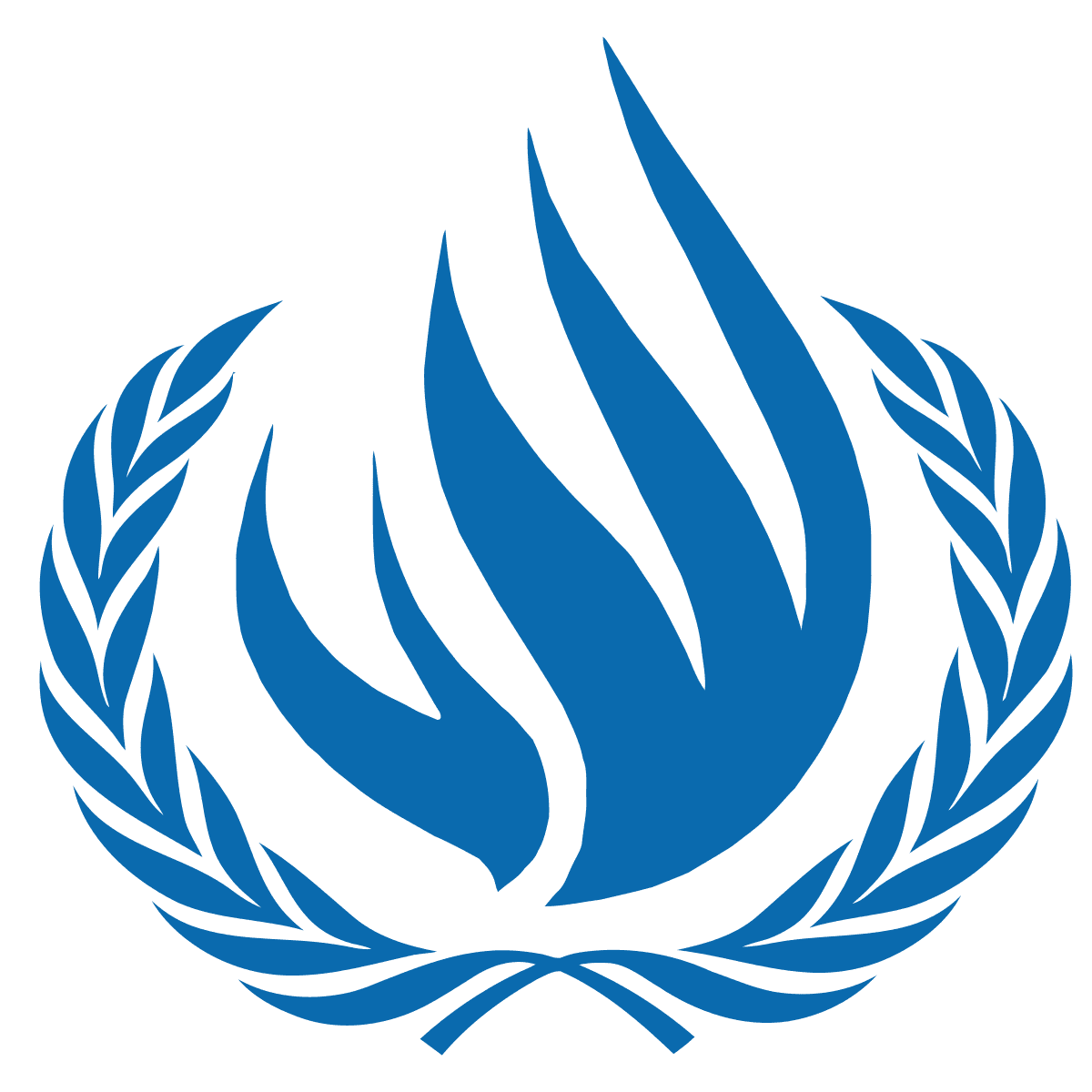 United Nations Human Rights Council (UNHRC)